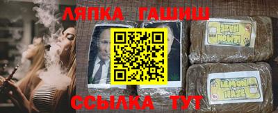 стаф Новокубанск