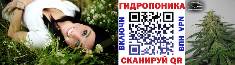 Бошки марихуана SATIVA & INDICA где найти Скопин